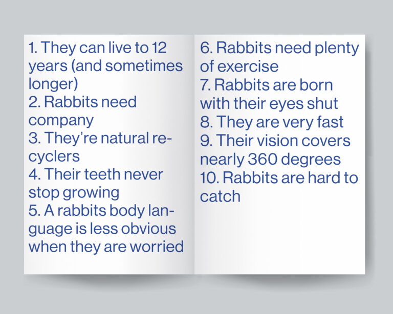 Publication about rabbits and my rabbit.